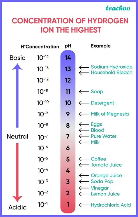 Comparing the Hydrogen Ion Concentrations