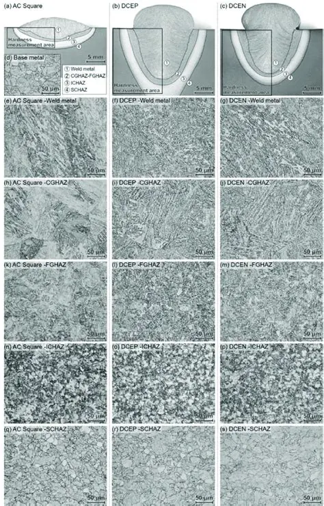Comparison of DCEN and ACEN
