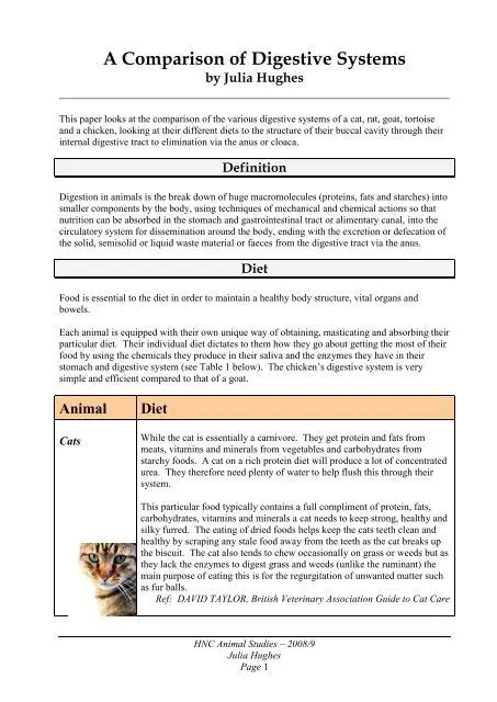 Comparison of Digestive Systems