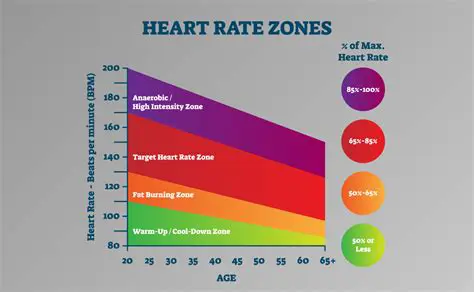Comparison of Heart Rate Ranges