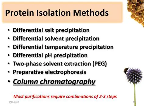 Comparison of Protein Isolation Methods