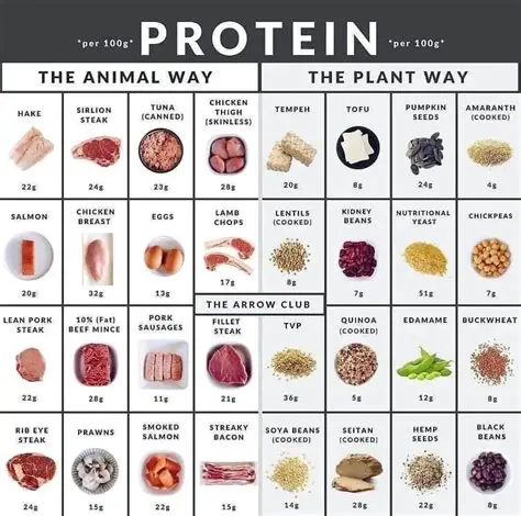 Comparison with Other Proteins