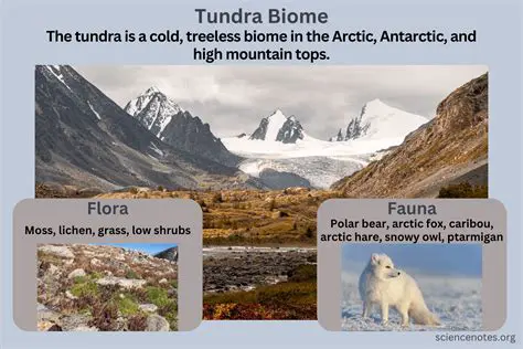Competition for Resources in the Tundra