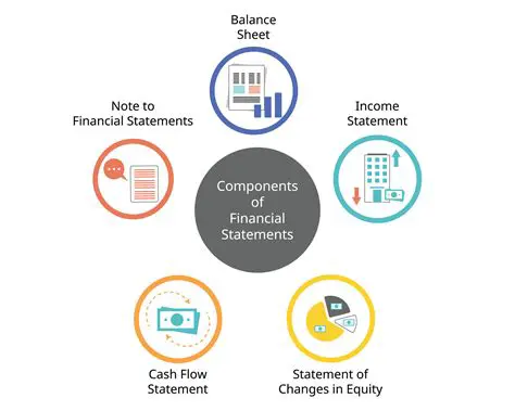 Components of Financial Statements