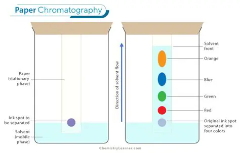 Components of Paper Chromatography
