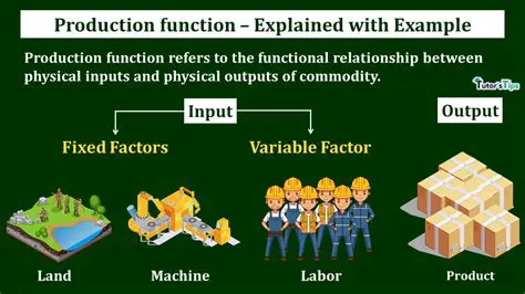 Components of the Production Function