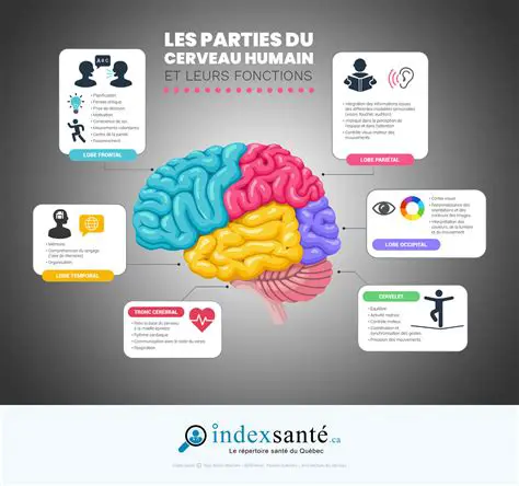 Comprendre les fonctions et les relations