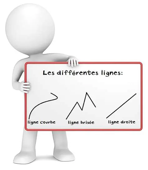 Comprendre les lignes et les courbes