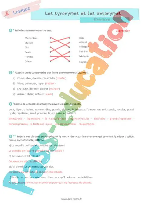 Comprendre les synonymes et les adjectifs