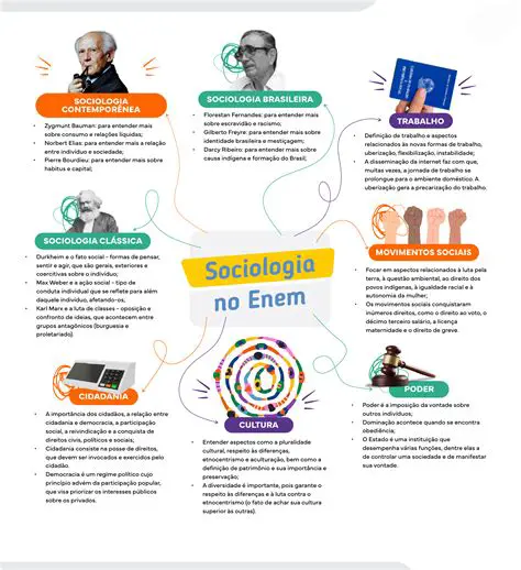 Conceitos Complementares na Sociologia