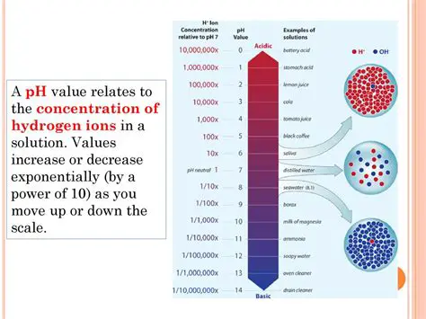 Concentration of Hydrogen Ions
