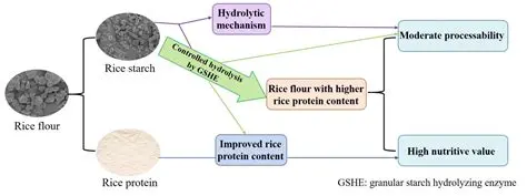 Conduct regular monitoring of chlorine content in rice