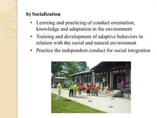 Conduct socialization and training