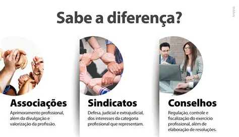 Conhecimentos e Conselhos Profissionais