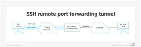 Connecting via local port forwarding through the SSH tunnel