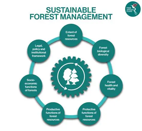 Conservation and Sustainable Forest Management