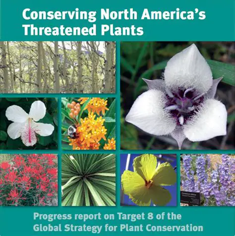 Conservation of Plant Species