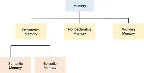 Consider the memory function