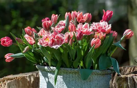 Constant Rate of Flower Planting