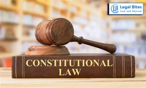 Constitutional law courses