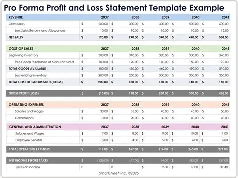Constructing the Pro Forma Profit and Loss Statement