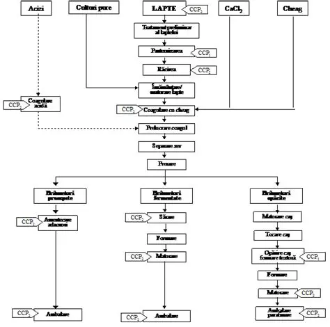 Construirea diagramei corecte