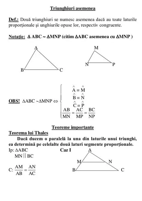 Construirea unor triunghiuri similare