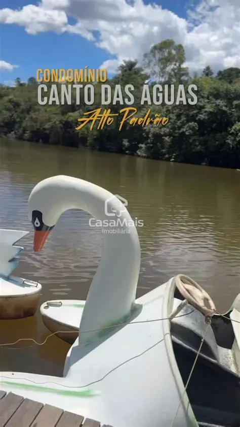 Contagem armada com restos