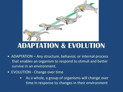 Continued Adaptation and Evolution