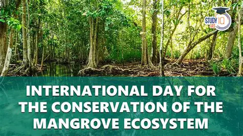Continued monitoring and protection of the mangrove ecosystem
