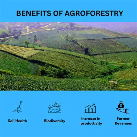Continued support for agroforestry practices