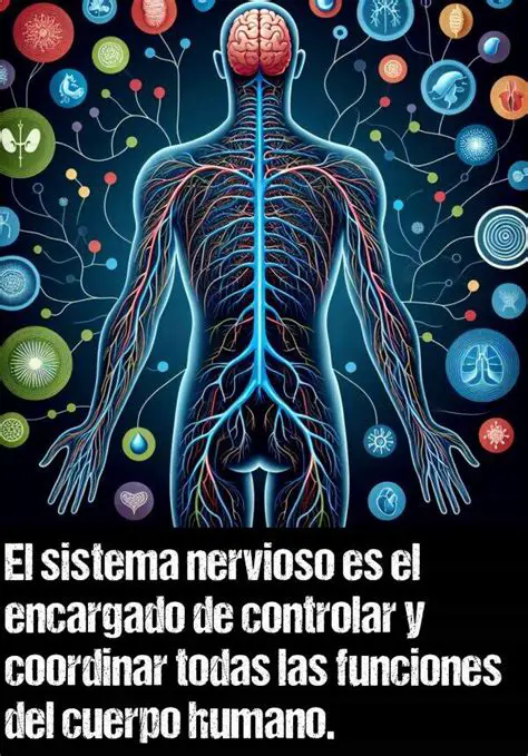 Controlar y coordinar las funciones del cuerpo