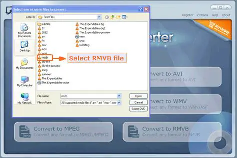 Converting RMVB files to other formats