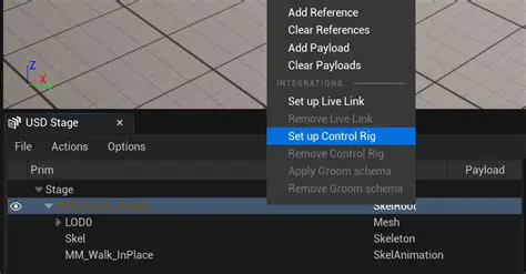 Converting USD Files for Simulation
