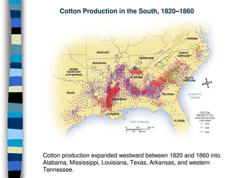 Cotton production in the South was a massive industry