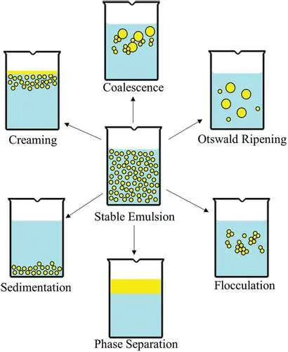 Creaming and Phase Separation