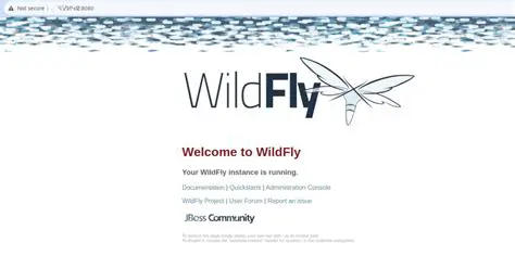 Creating Routes to the Wildfly Application and Admin Pages