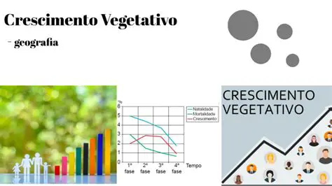 Crescimento Vegetativo Positivo