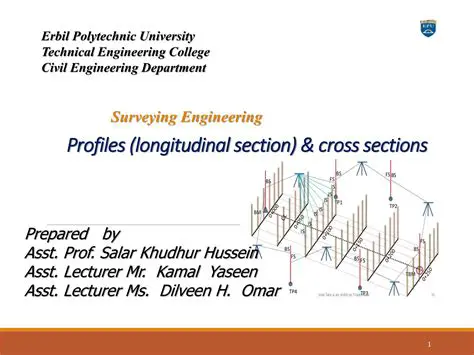 Cross Sections and Longitudinal Profile
