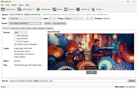 Customizable encoding options
