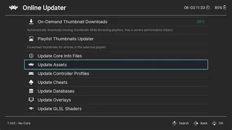 Customizable Update Options