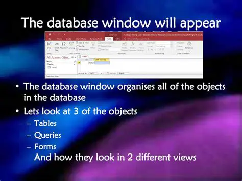 Customizing the Database Window