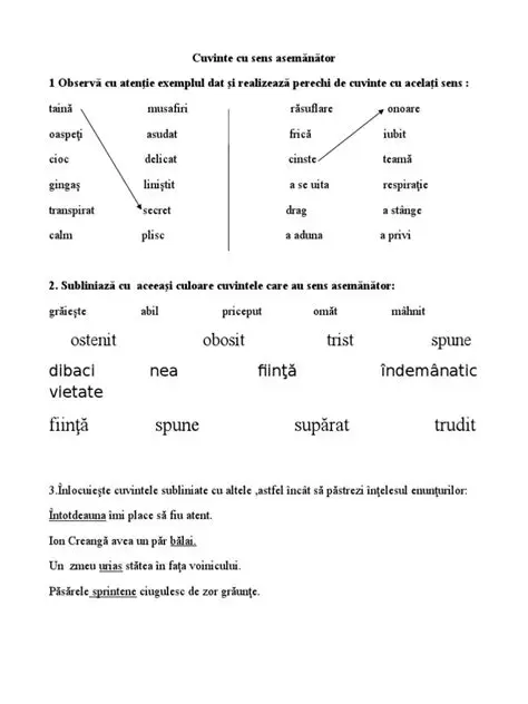 Cuvinte cu sensuri multiple