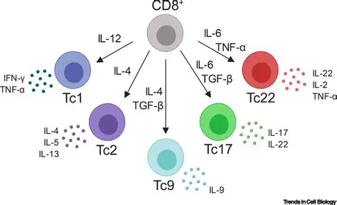 cytotoxic T cells that express CD8