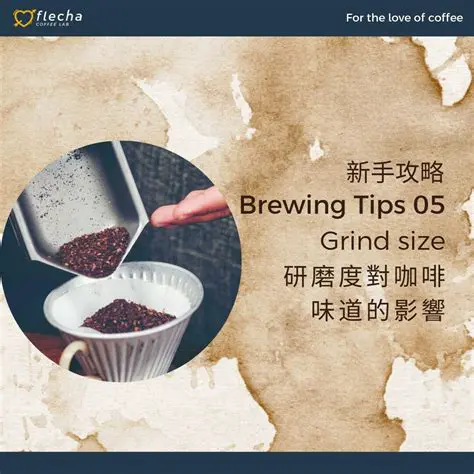 DailyBean: Your Daily Dose of Coffee Culture and Brewing Brilliance