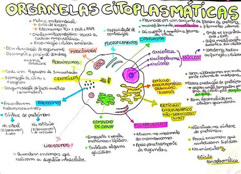Danos aos organelas celulares