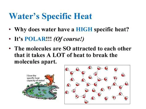 Data and Specific Heat of Water
