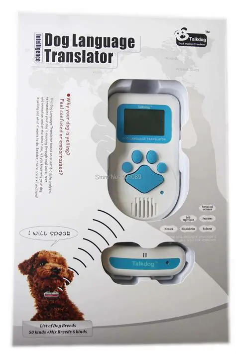 Decoding the Global Hot Dog: More Than Just a Translation