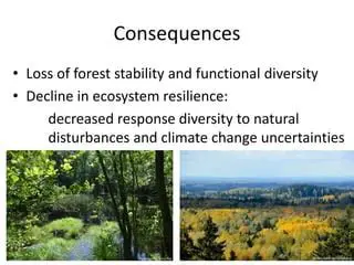 Decreased Ecosystem Resilience