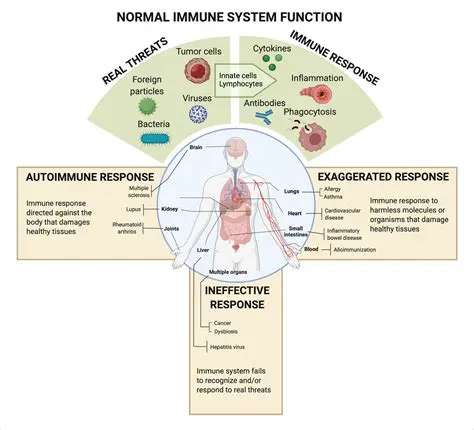 Decreased Function of the Immune System